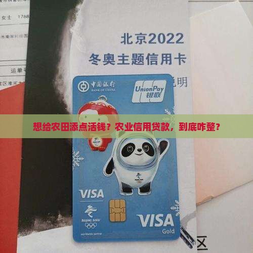 农业信用贷款怎么办