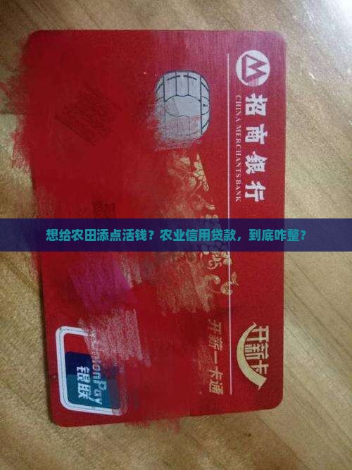 农业信用贷款怎么办