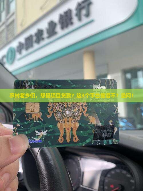农村搞什么能贷款的平台
