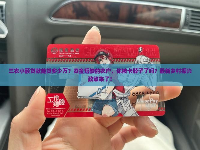 三农小额贷款能贷多少万 三农小额贷款能贷多少万