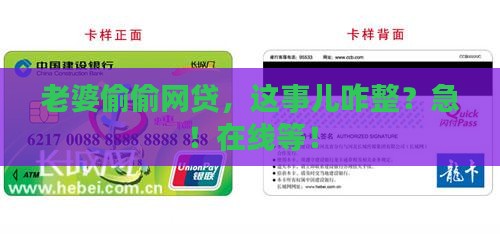 妻子的网络贷款怎么办