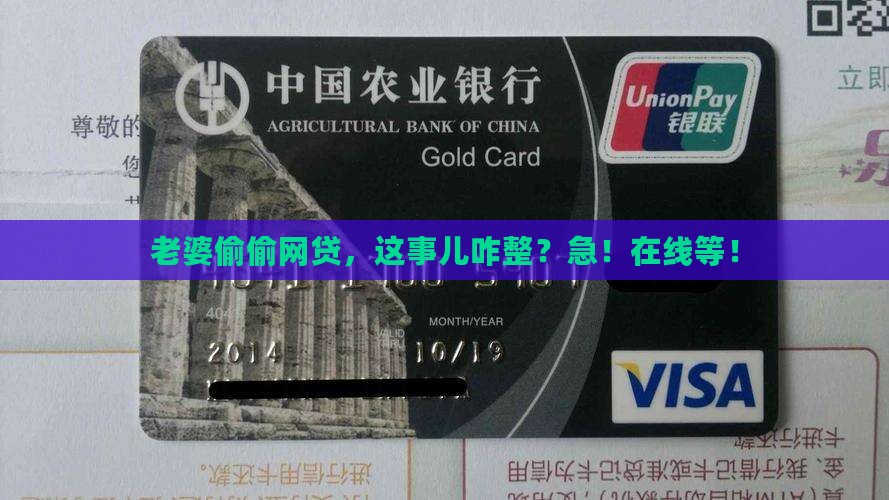 妻子的网络贷款怎么办