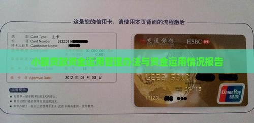 小额贷款资金运用