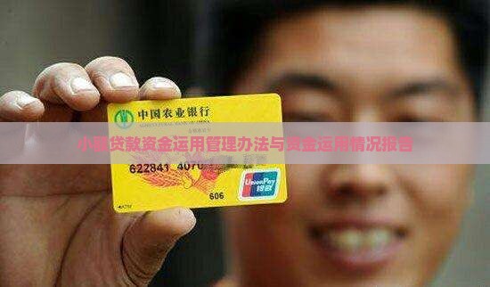 小额贷款资金运用