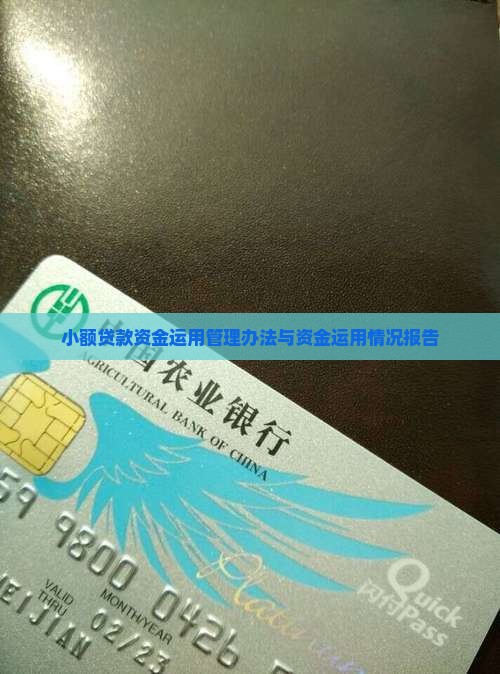 小额贷款资金运用