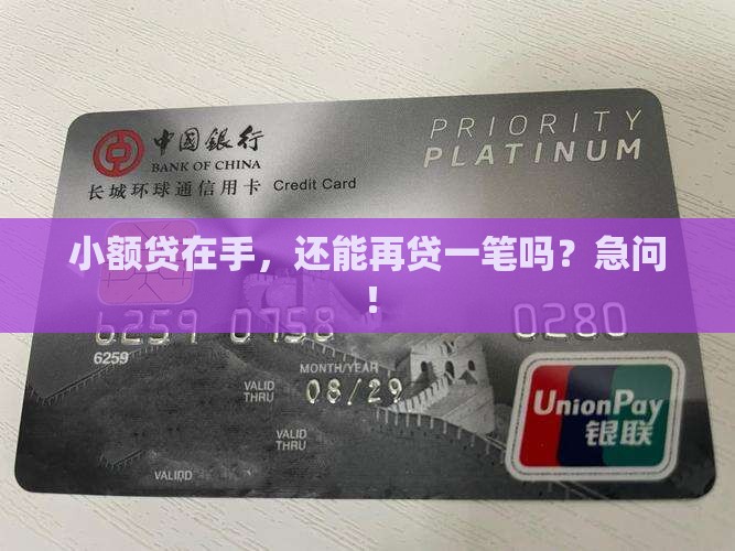 个人有小额贷能贷款吗