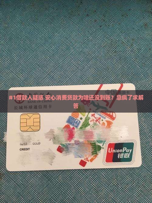 安心消费贷款未到账