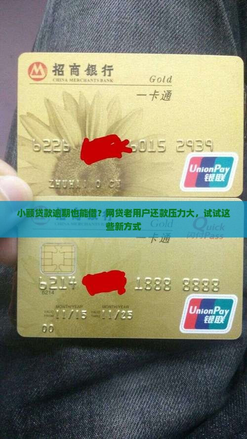 小额贷款逾期也能借