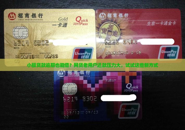 小额贷款逾期也能借