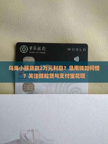 乌海小额贷款2万元利息