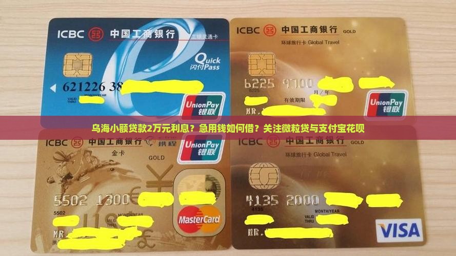 乌海小额贷款2万元利息