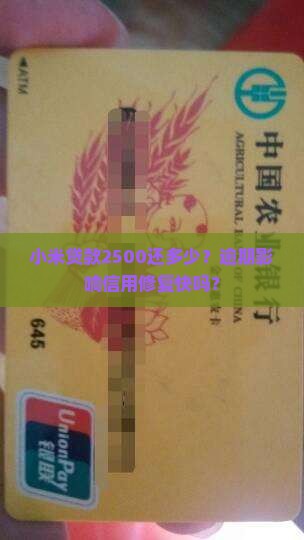 小米贷款2500还多少