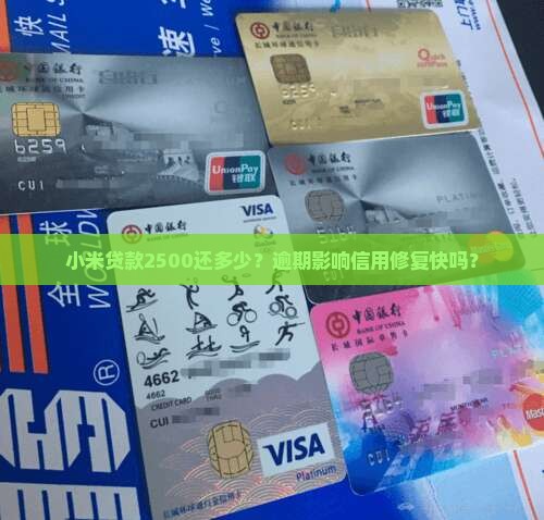 小米贷款2500还多少