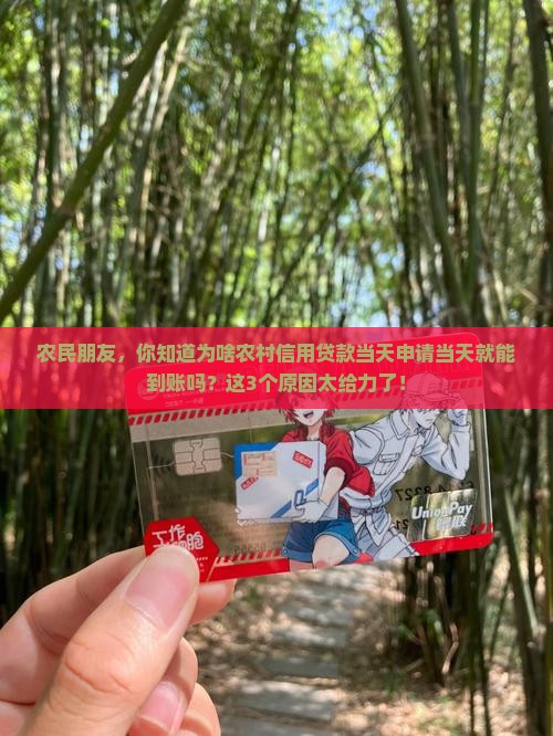 农村信用贷款当天办当天可以下来 农村信用贷款当天办当天可以下来