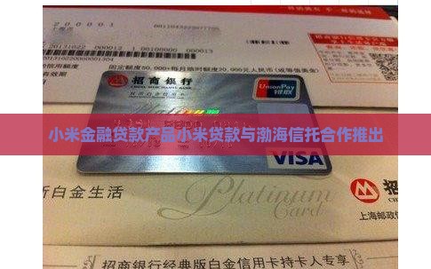 小米贷款渤海信托