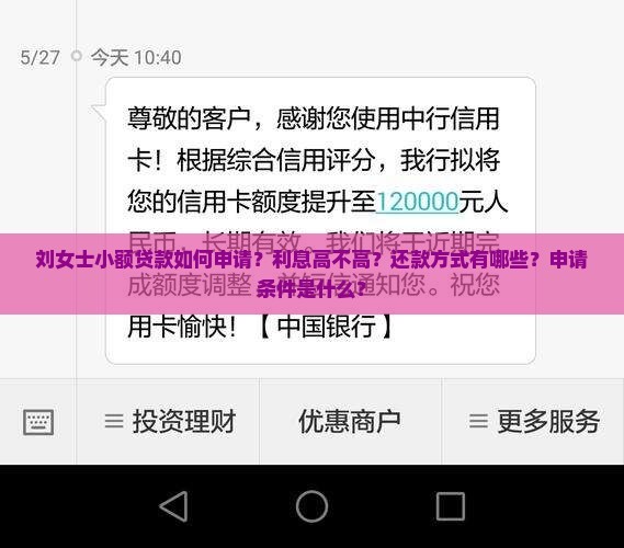 刘女士小额贷款
