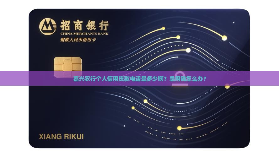 嘉兴农行个人信用贷款电话
