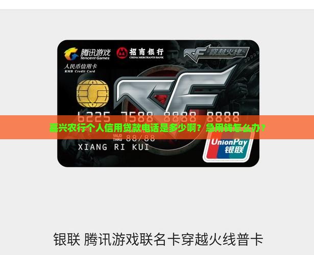嘉兴农行个人信用贷款电话