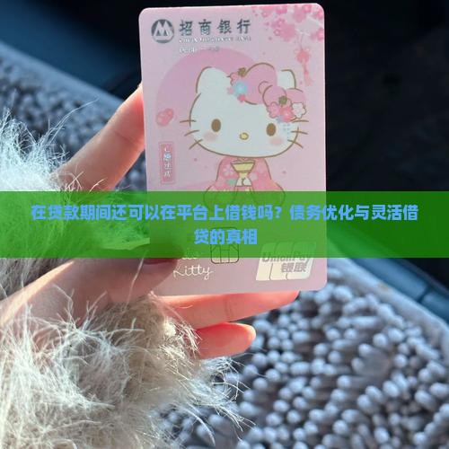 在贷款期间还可以在平台上借钱吗