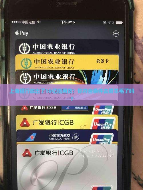 上海银行10亿信用贷款
