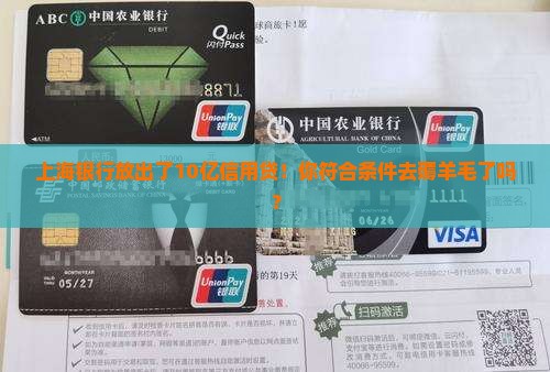 上海银行10亿信用贷款