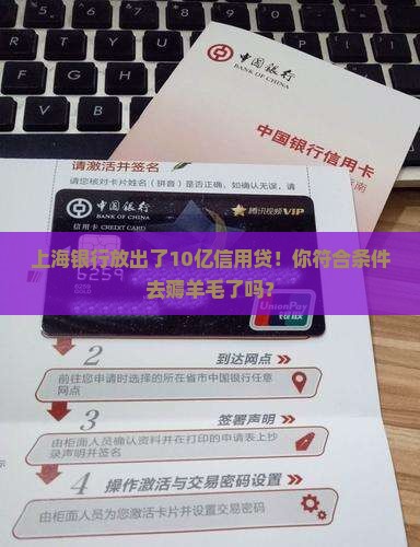 上海银行10亿信用贷款