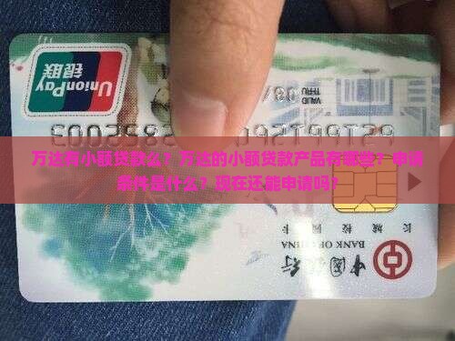 万达有小额贷款么现在