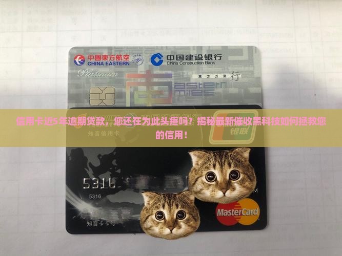 信用卡近5年逾期贷款