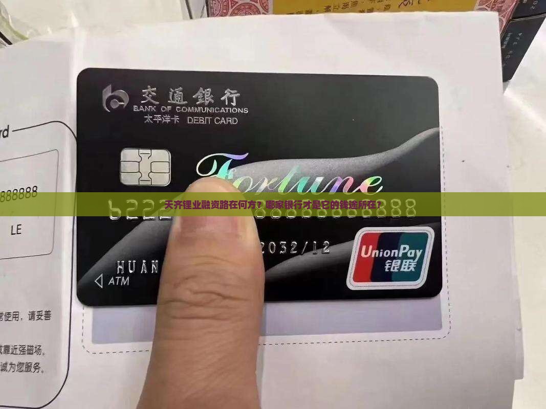 天齐锂业贷款哪家银行