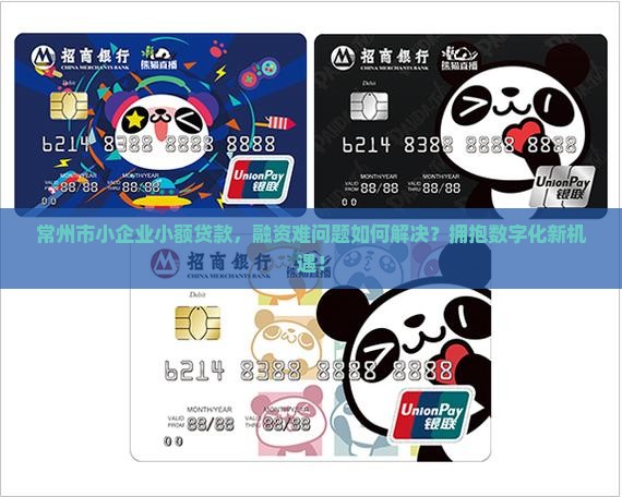 常州市小企业小额贷款