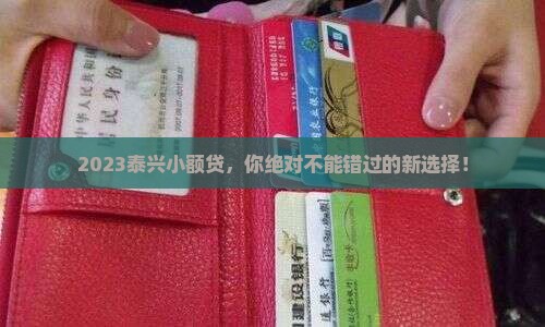 泰兴小额贷款2023
