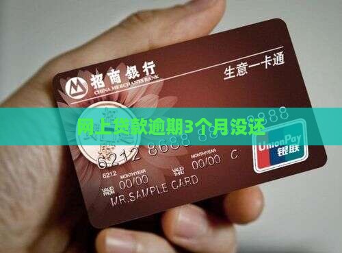 网上贷款逾期3个月没还