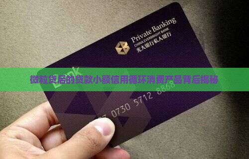 微粒贷背后的贷款