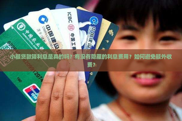 小额贷款降利息没有利息