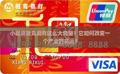 小额贷款带动产业发展