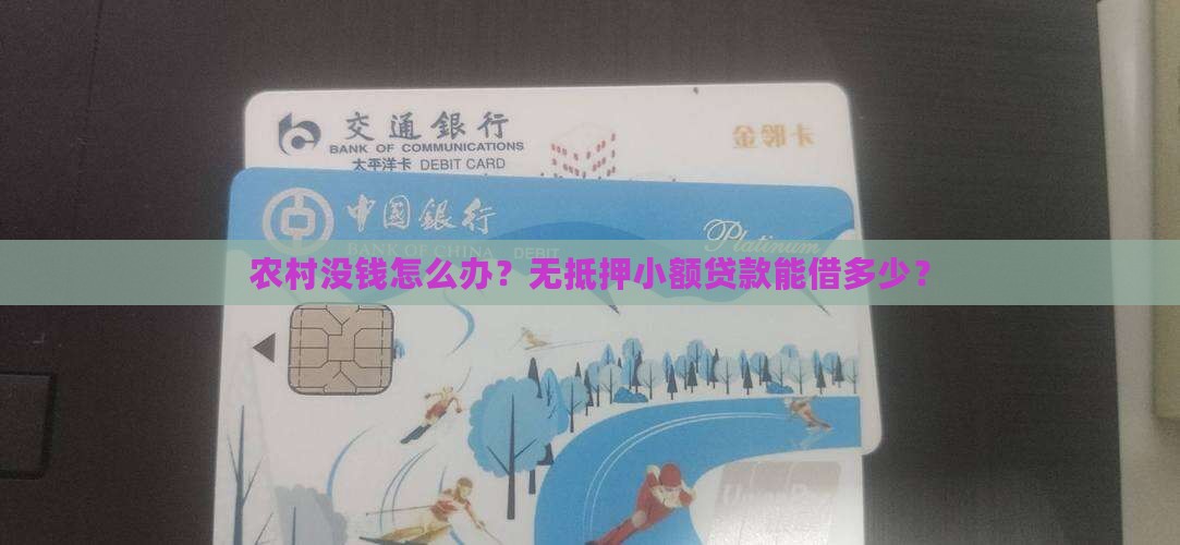 农村无抵押小额贷款额度