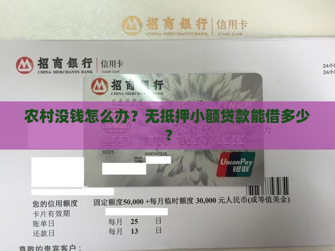 农村无抵押小额贷款额度
