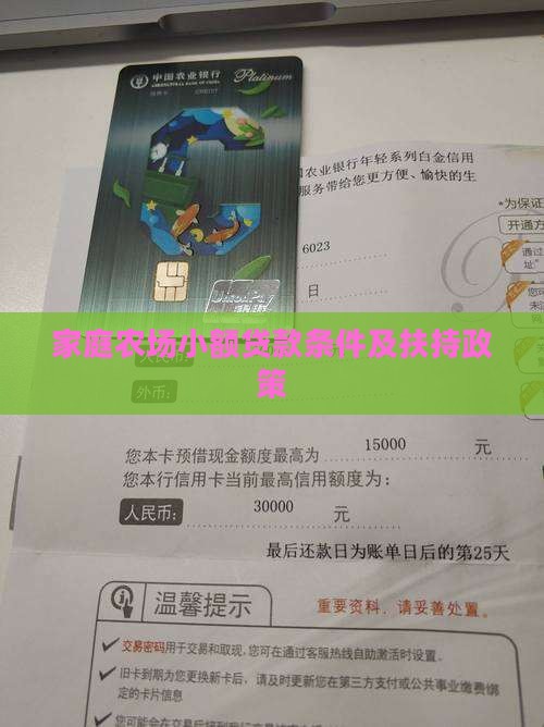 家庭农场小额贷款条件