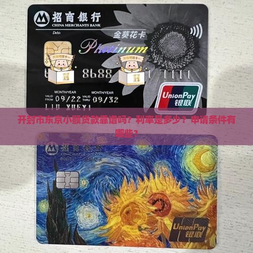 开封市东京小额贷款