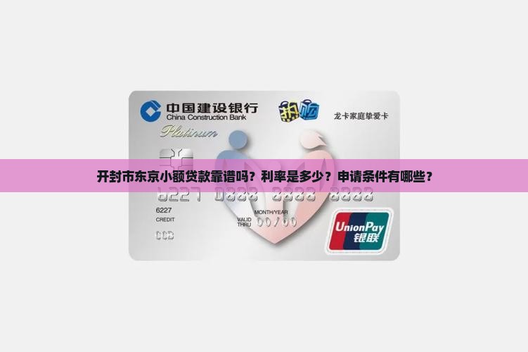 开封市东京小额贷款