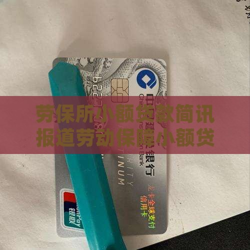 劳保所小额贷款简讯
