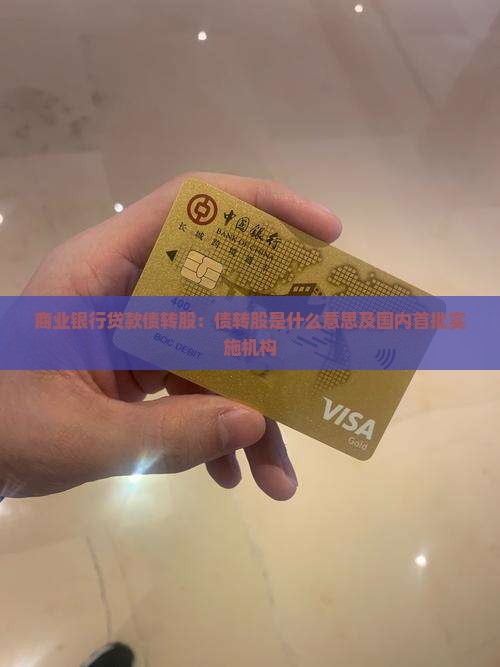 商业银行贷款债转股