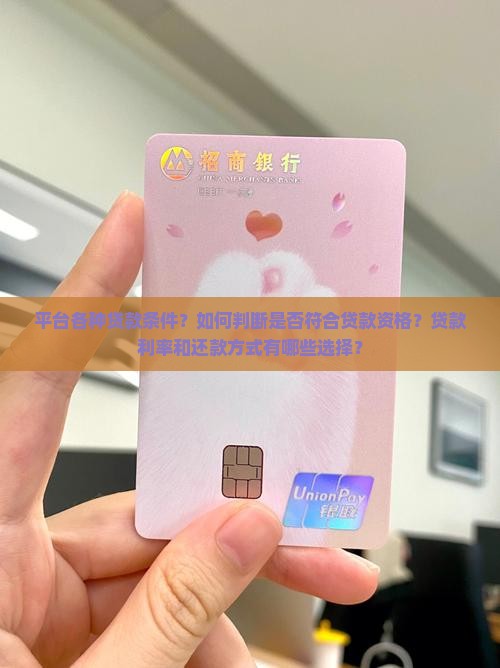 平台各种贷款条件 平台各种贷款条件