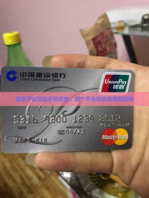 哪里平台贷款多利息低