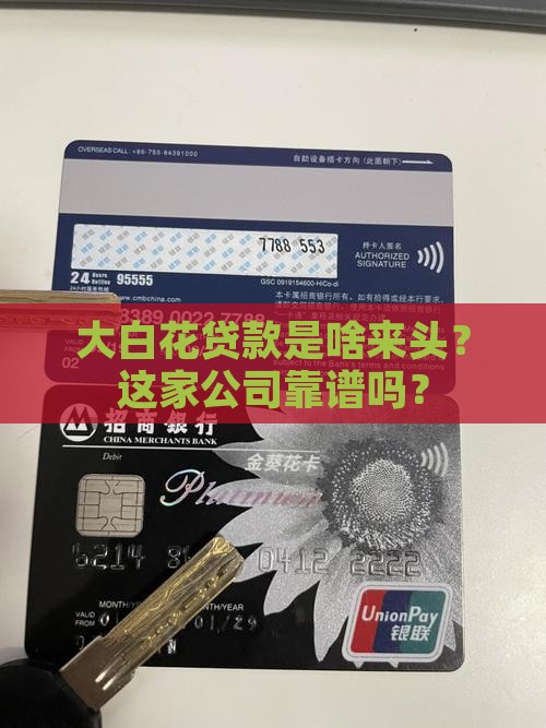 大白花贷款是什么公司