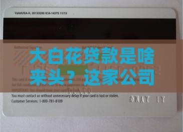 大白花贷款是什么公司