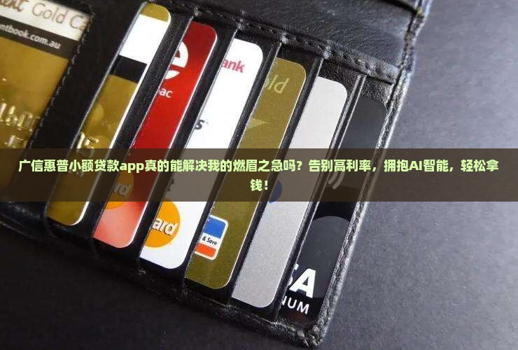 广信惠普小额贷款app