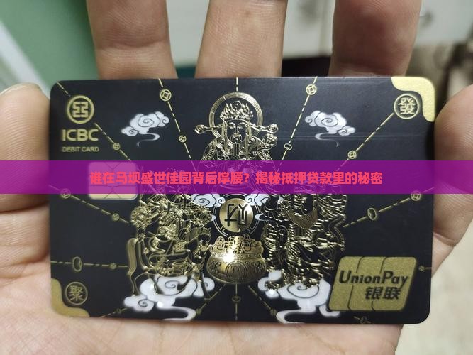 马坝盛世佳园抵押贷款公司