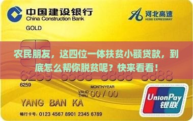 四位一体扶贫小额贷款