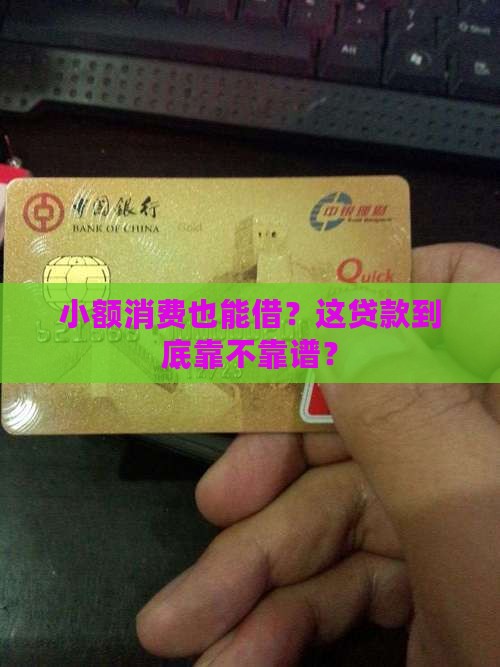 小额消费担保贷款